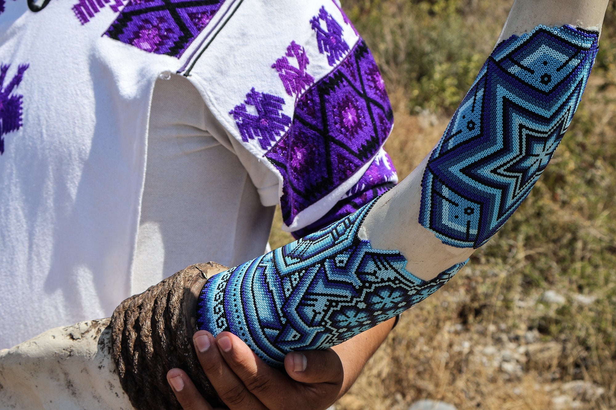 Huichol Longhorn by Agave
