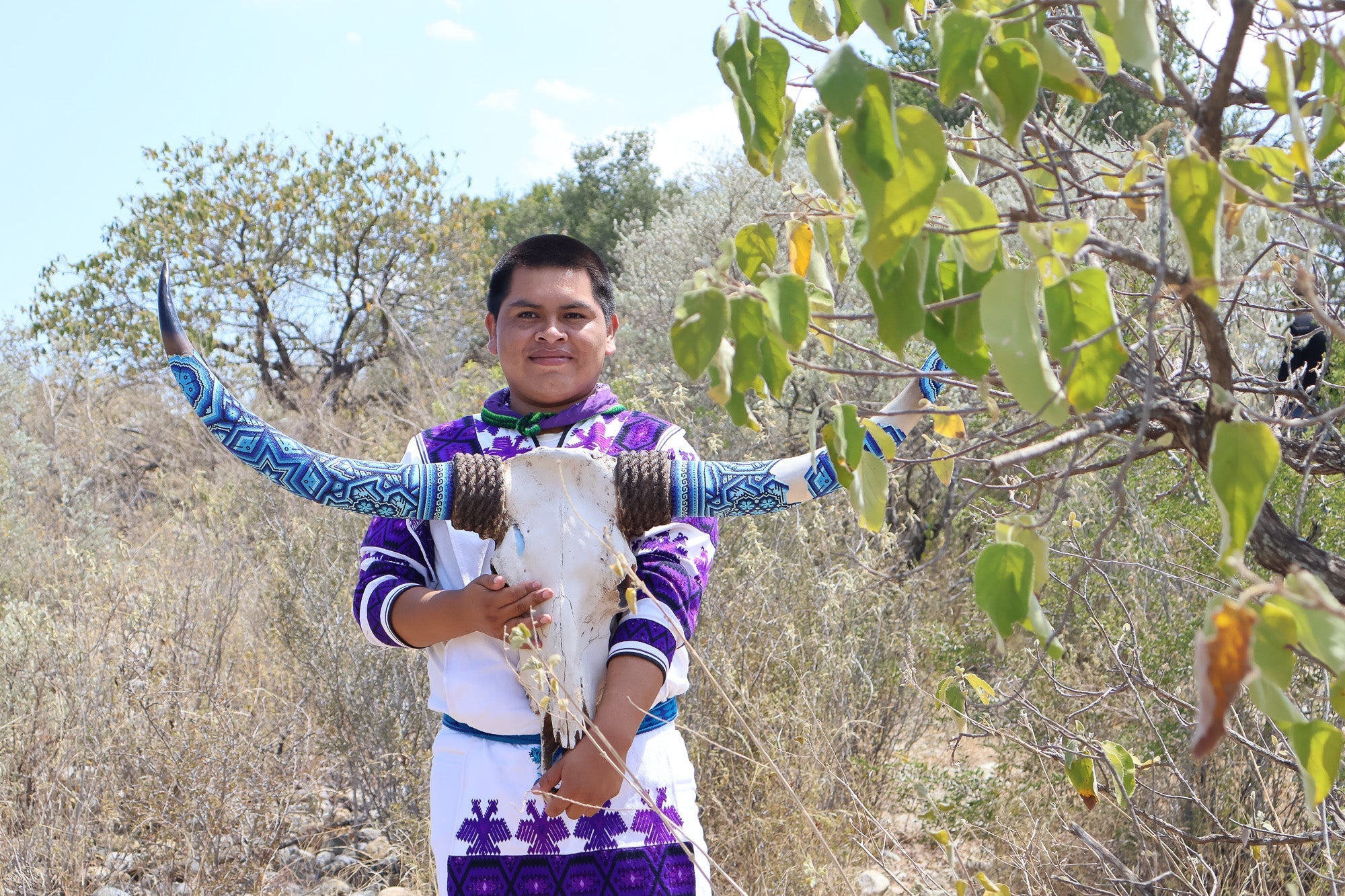 Huichol Longhorn by Agave