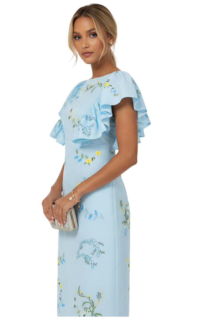 Woman wearing a light blue dress with floral embroidery on a white background