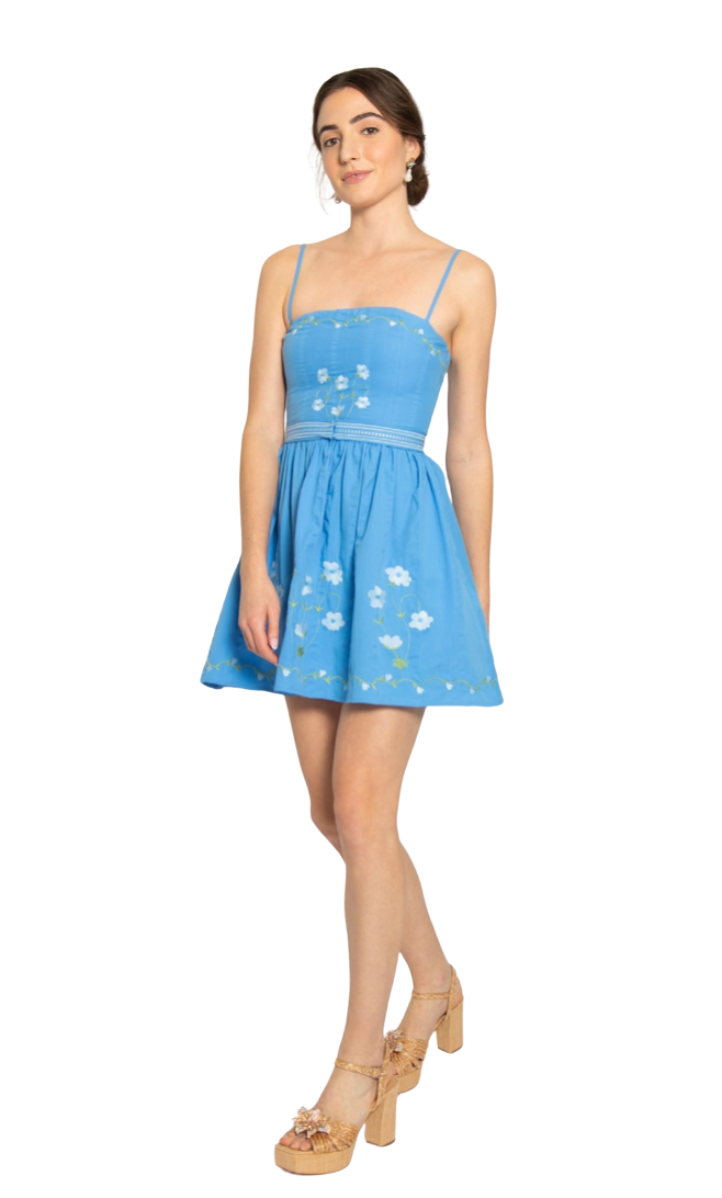 Woman wearing a blue dress with floral embroidery on a white background
