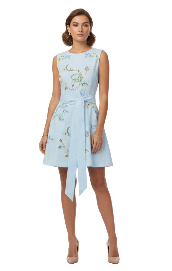 Woman wearing a light blue dress with floral embroidery on a white background