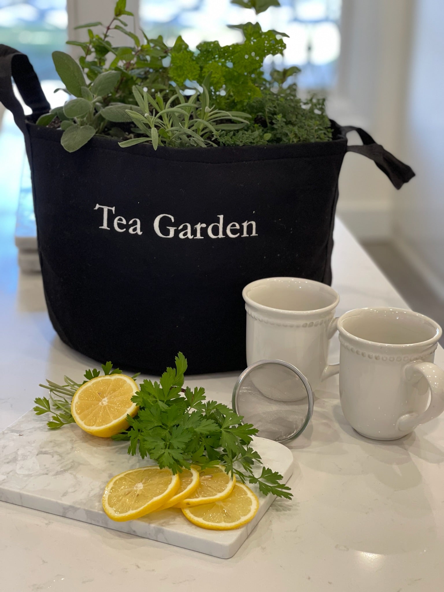 Outdoor Tea Giftable with Tea Brewer Mug Gift Set by Gardenuity