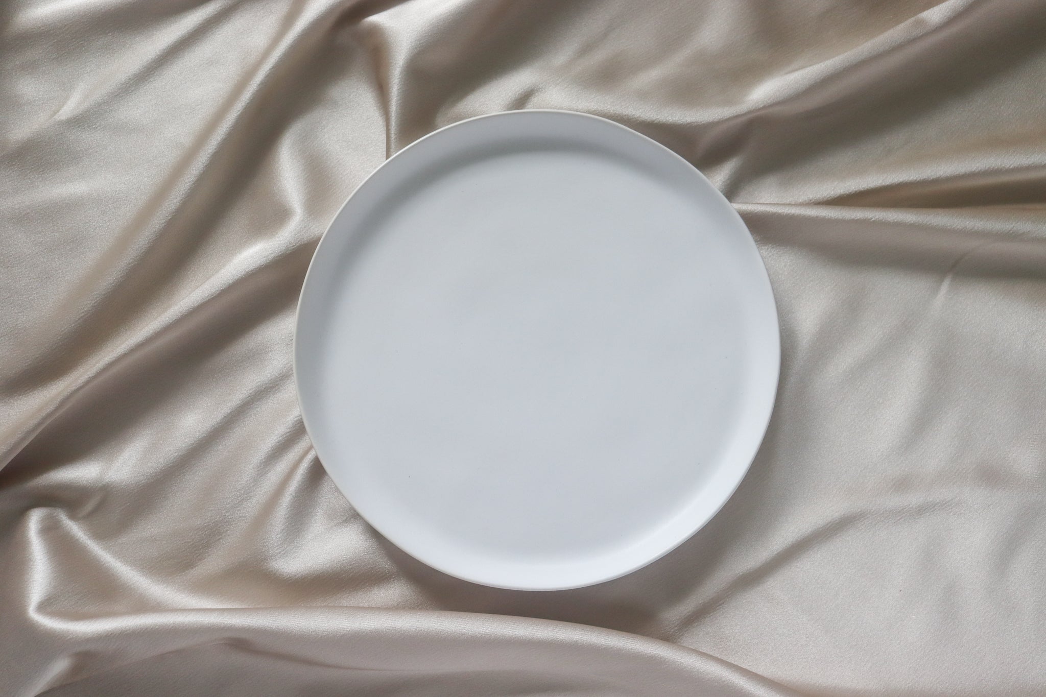 White Canvas Dinner Plate - 4 Piece Set by Divine Ivy