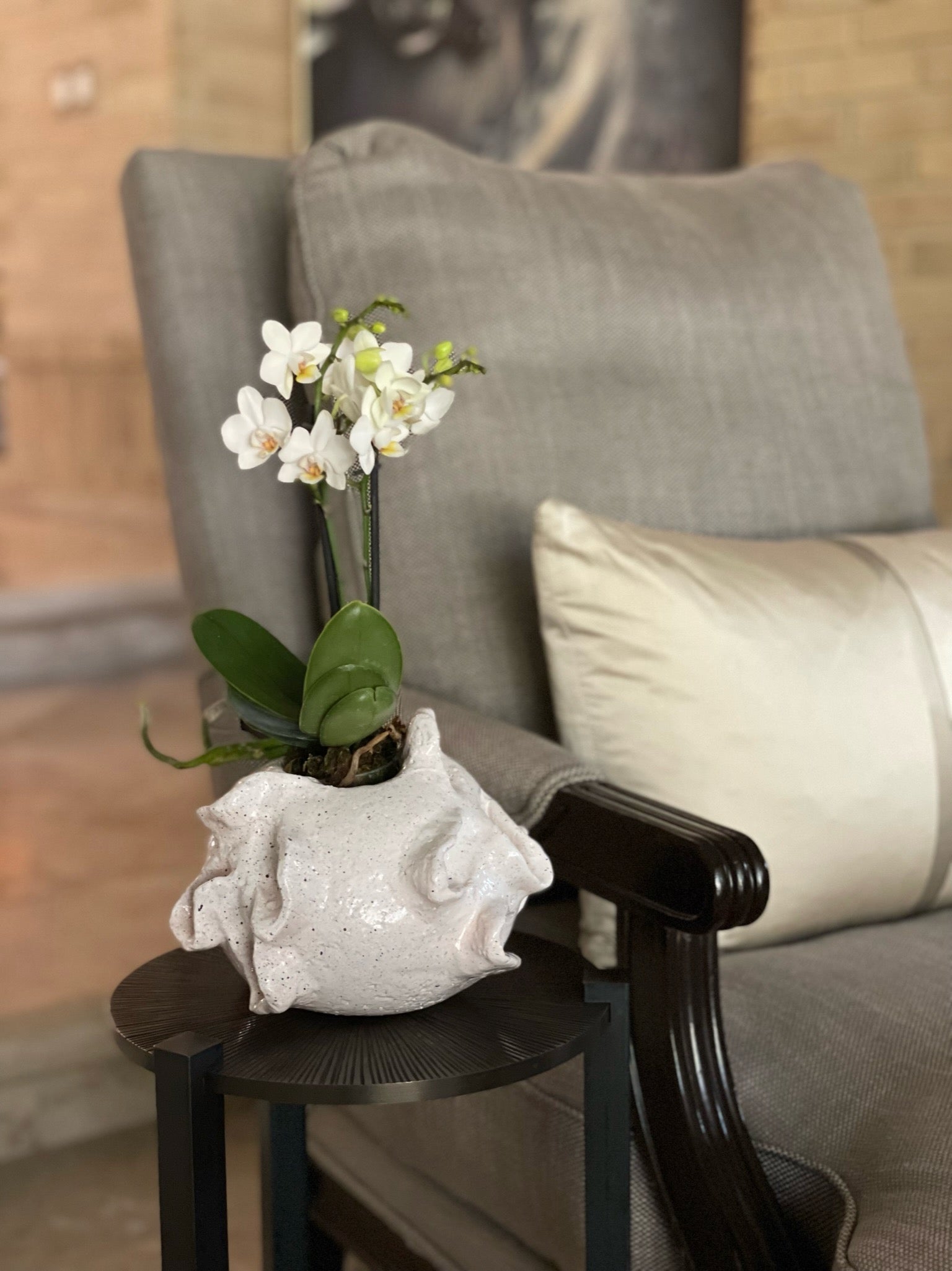 Alicia Base in White by Agave