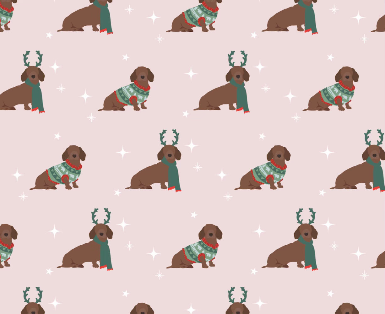 Sausage dog store wrapping paper