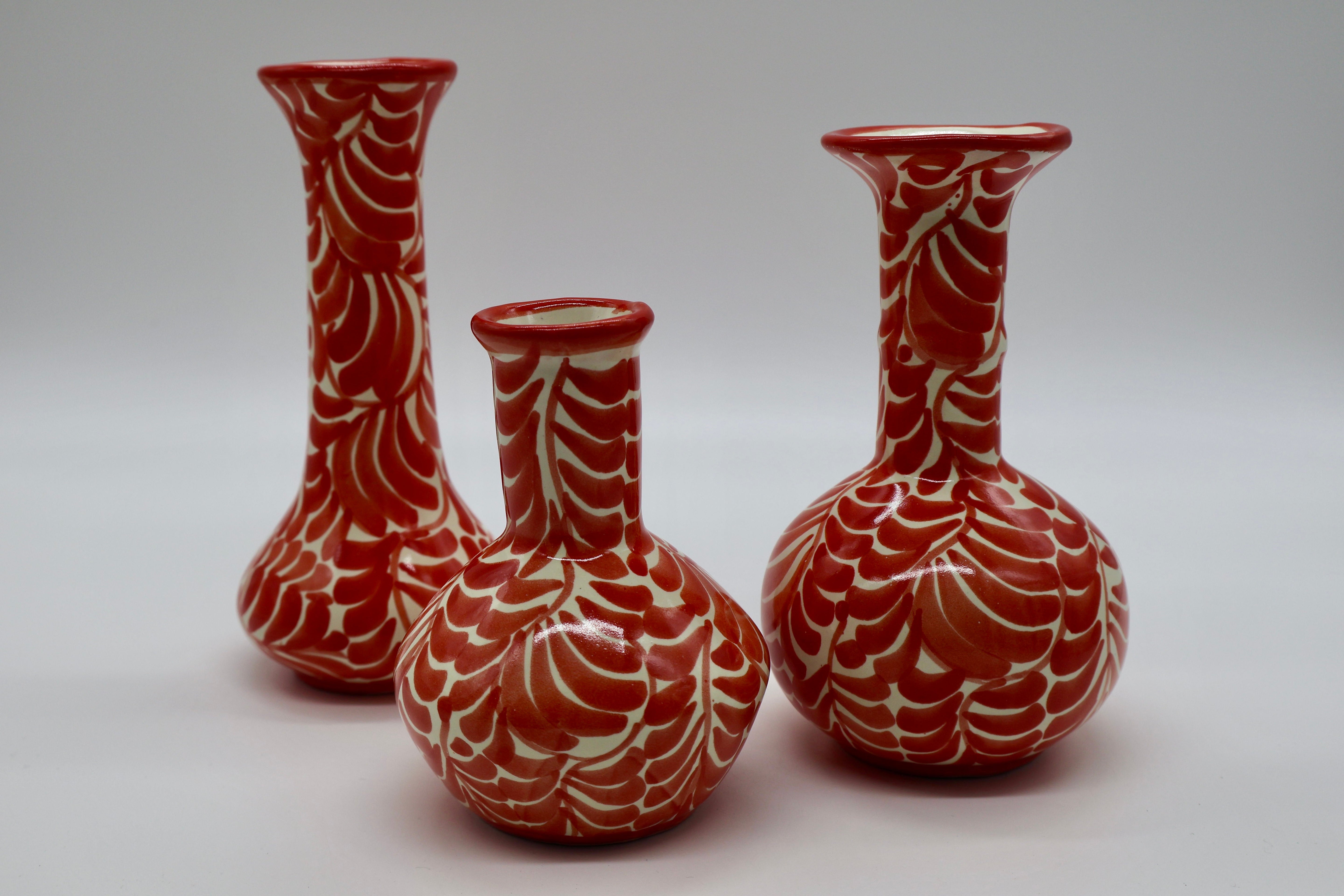 Mexico Collection by Agave