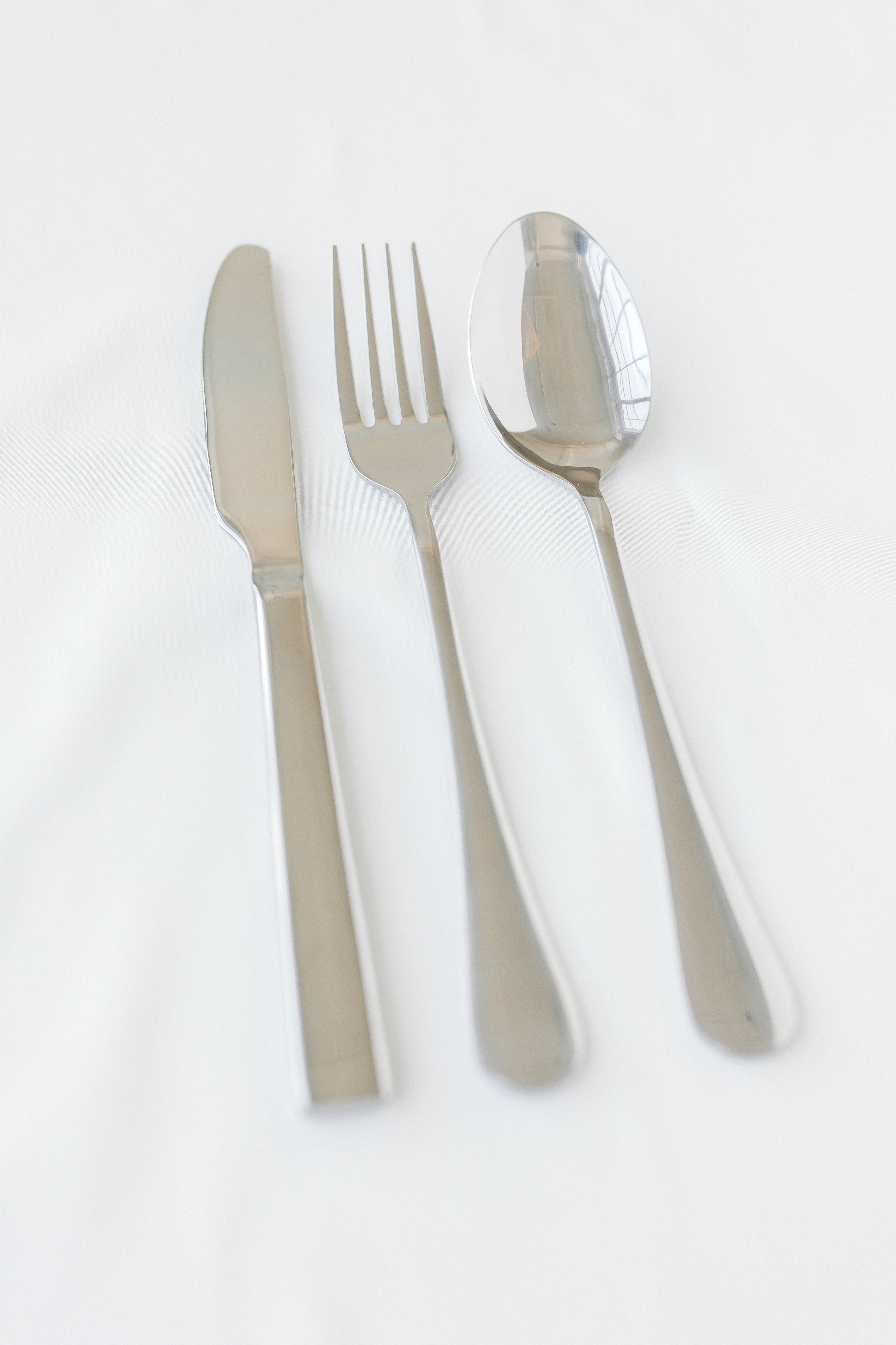 Classic Round Edge 12 Piece Cutlery Set - Silver by Divine Ivy