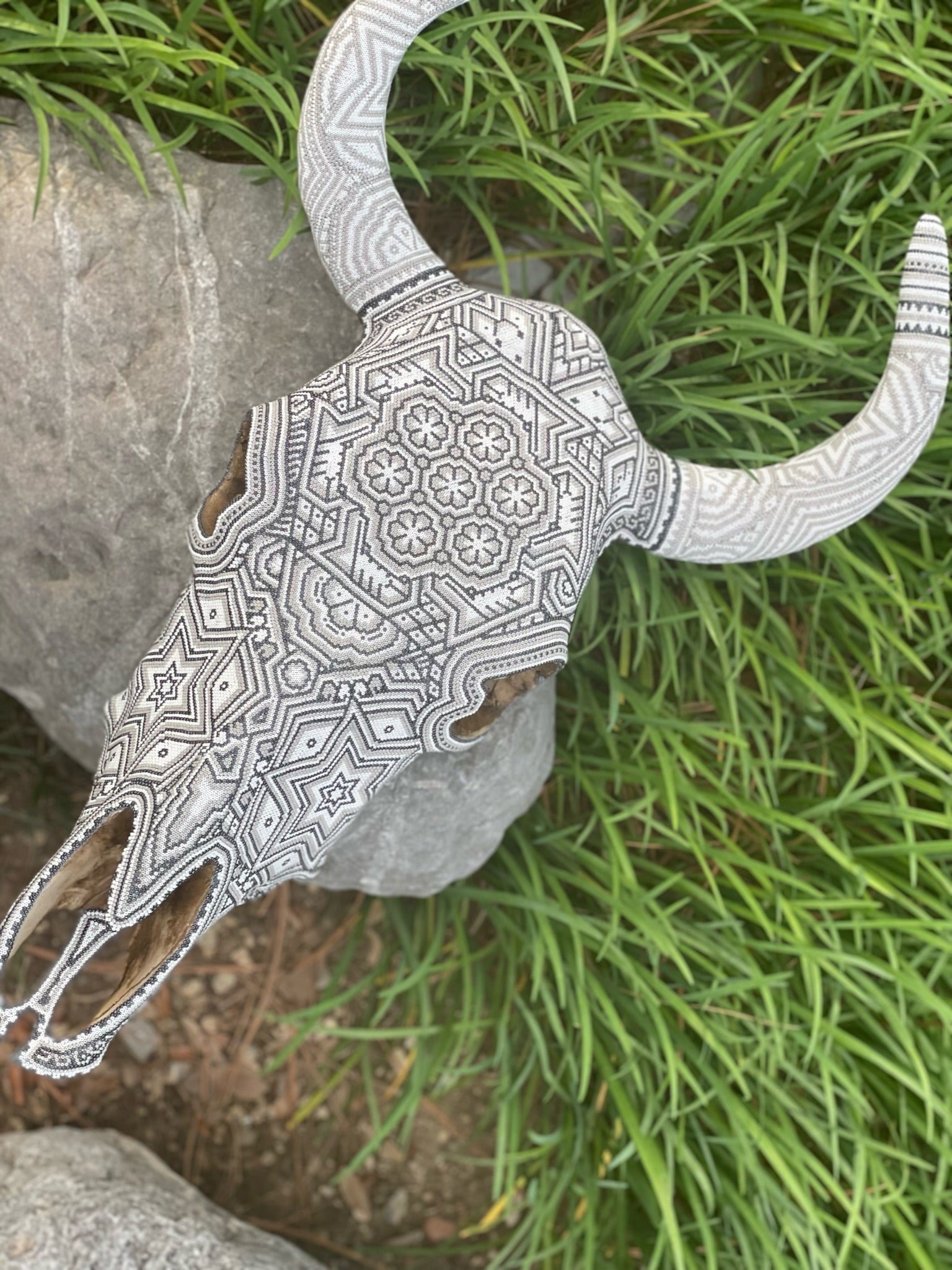 Huichol Cow Skull by Agave