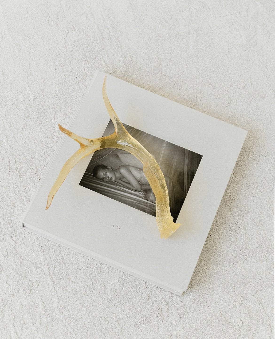 Deer Antler in Yellow by Agave