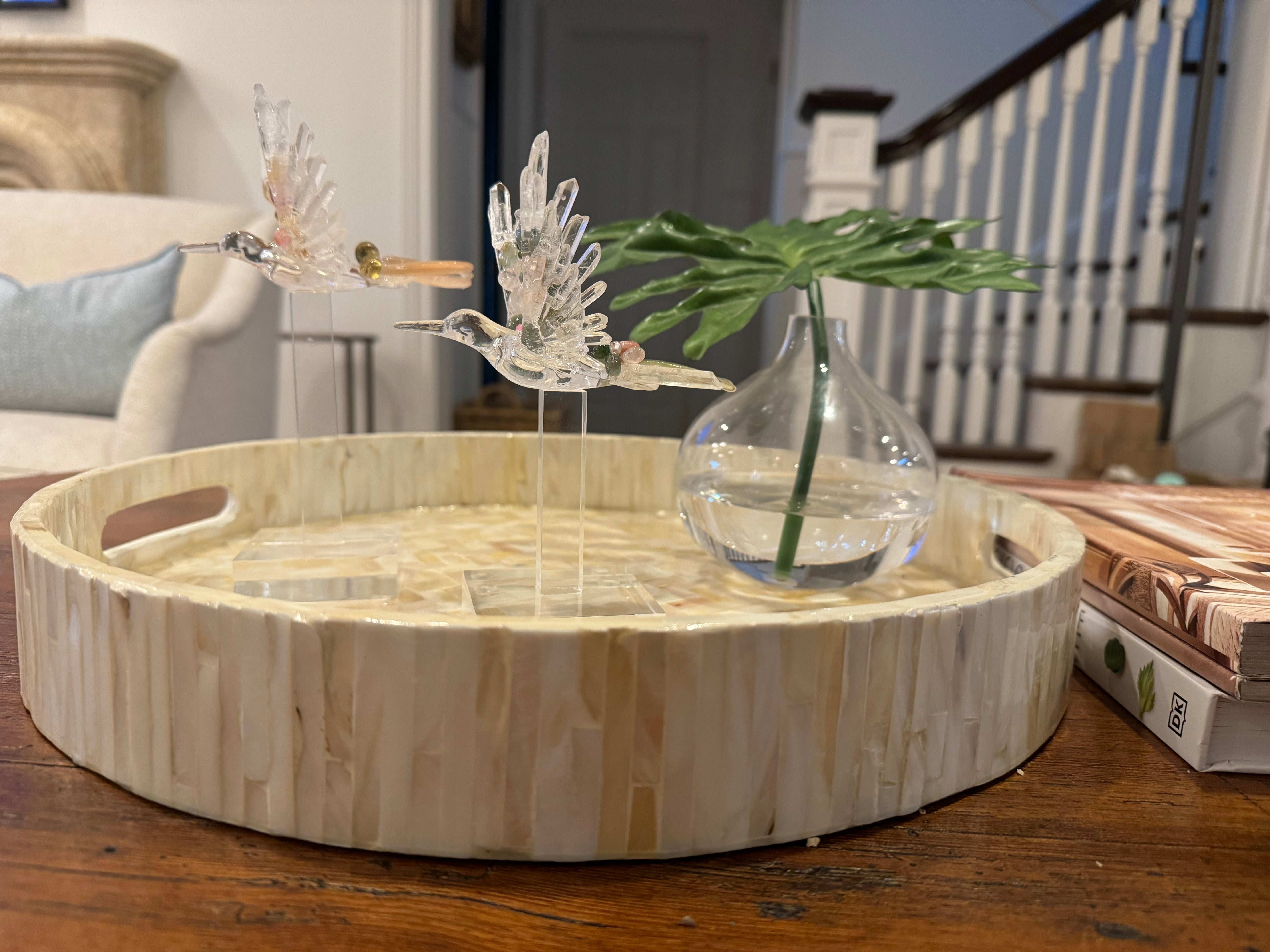 Semi-precious Hummingbird by Agave