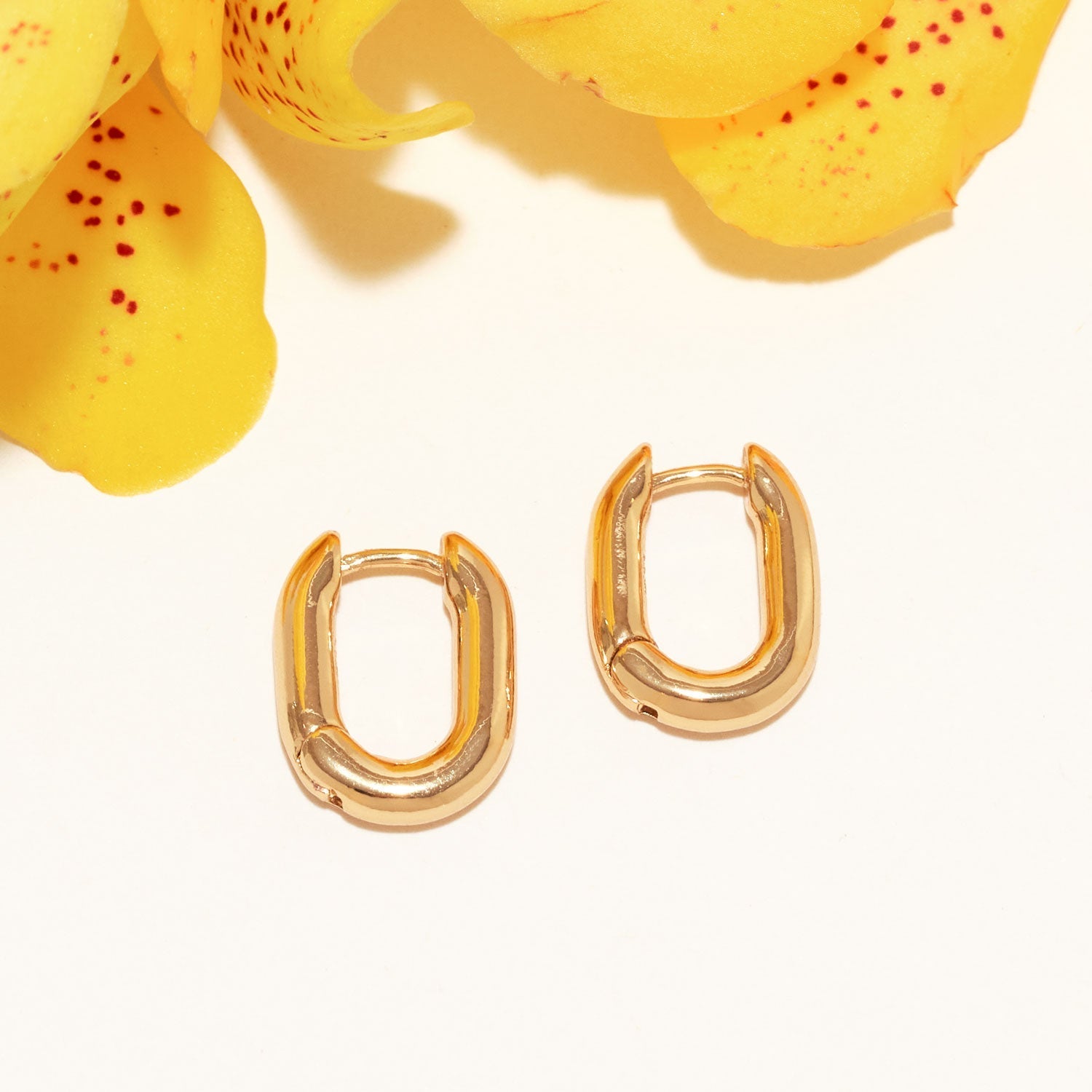 Petite Pia Hoop Earrings Gold by Mignonne Gavigan