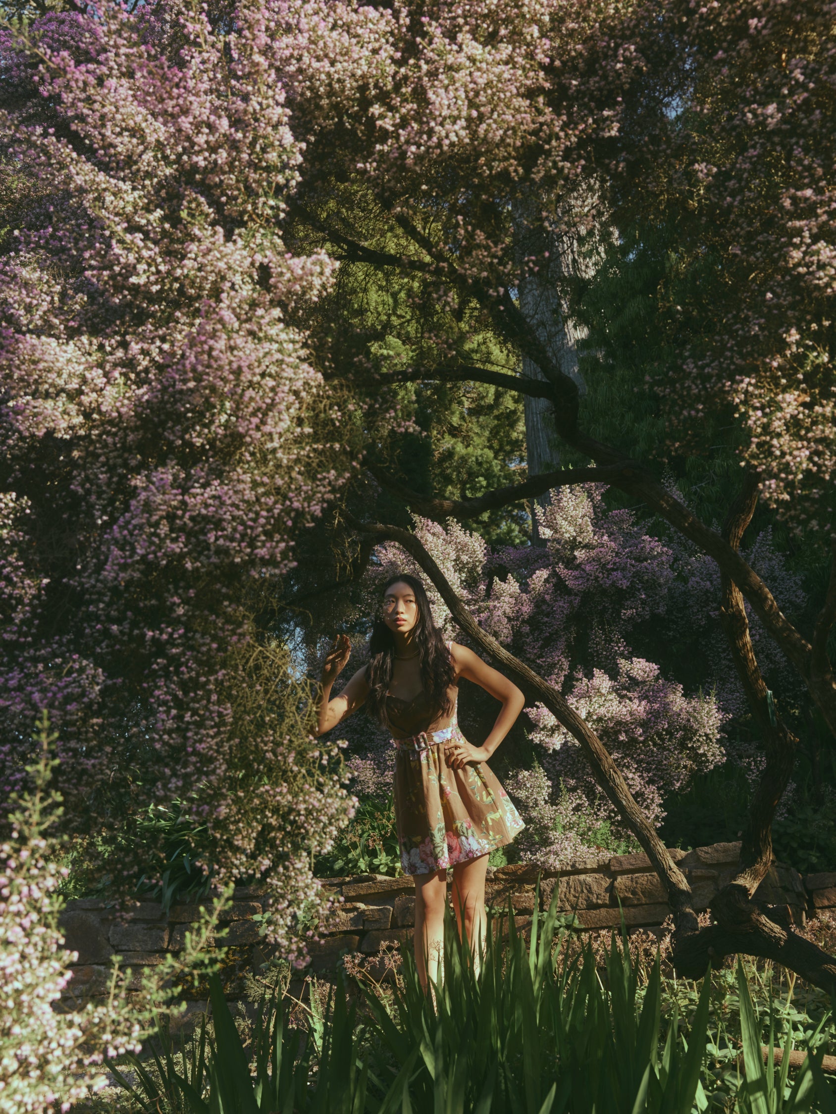 Georgie Dress in Caramel Victorian Floral by Eddy