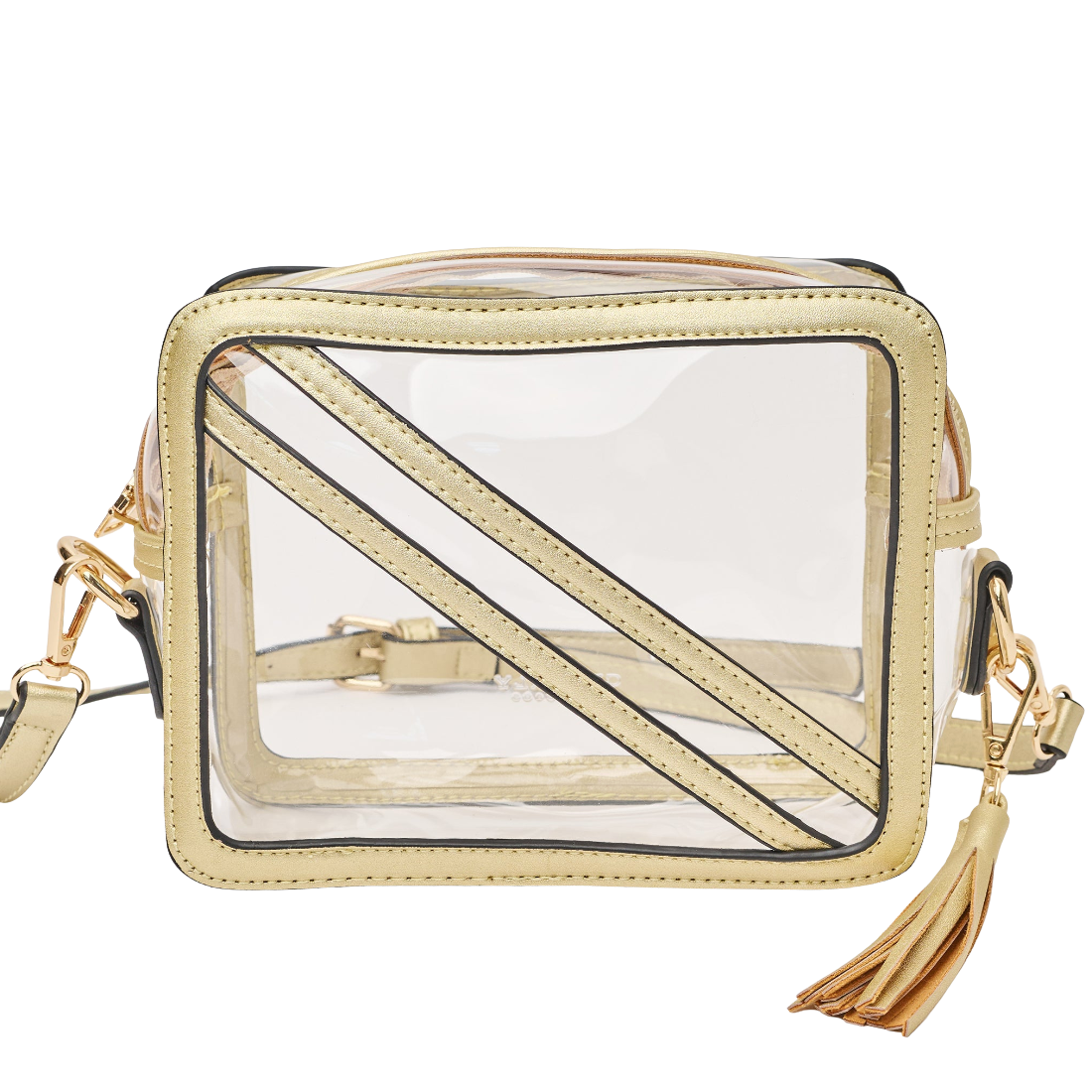 A clear transparent pouch bag with gold-tone trim, a gold shoulder strap, and a gold tassel detail, shown on a plain white background.