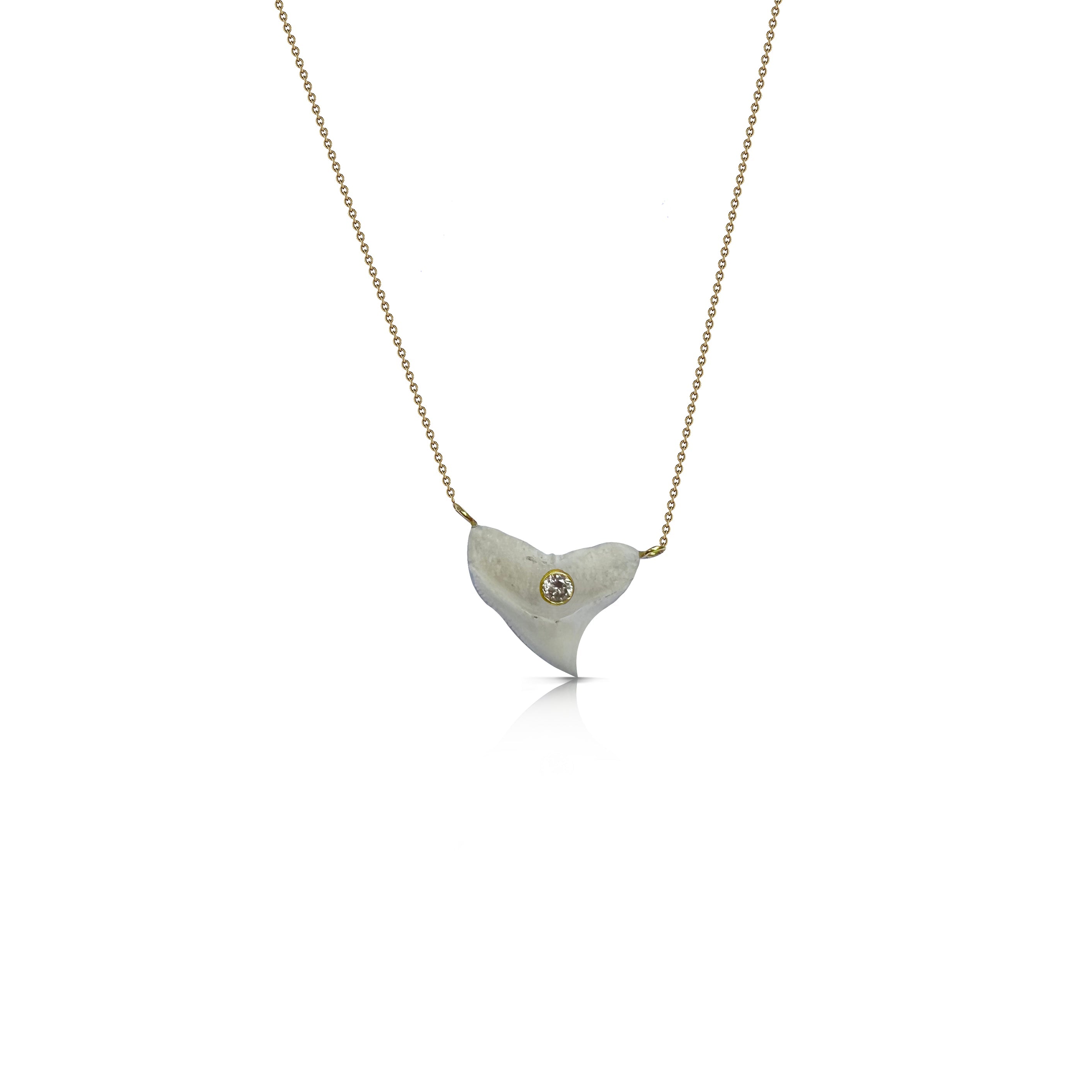 14k Sharks Tooth Dainty Necklace by S. Carter Designs