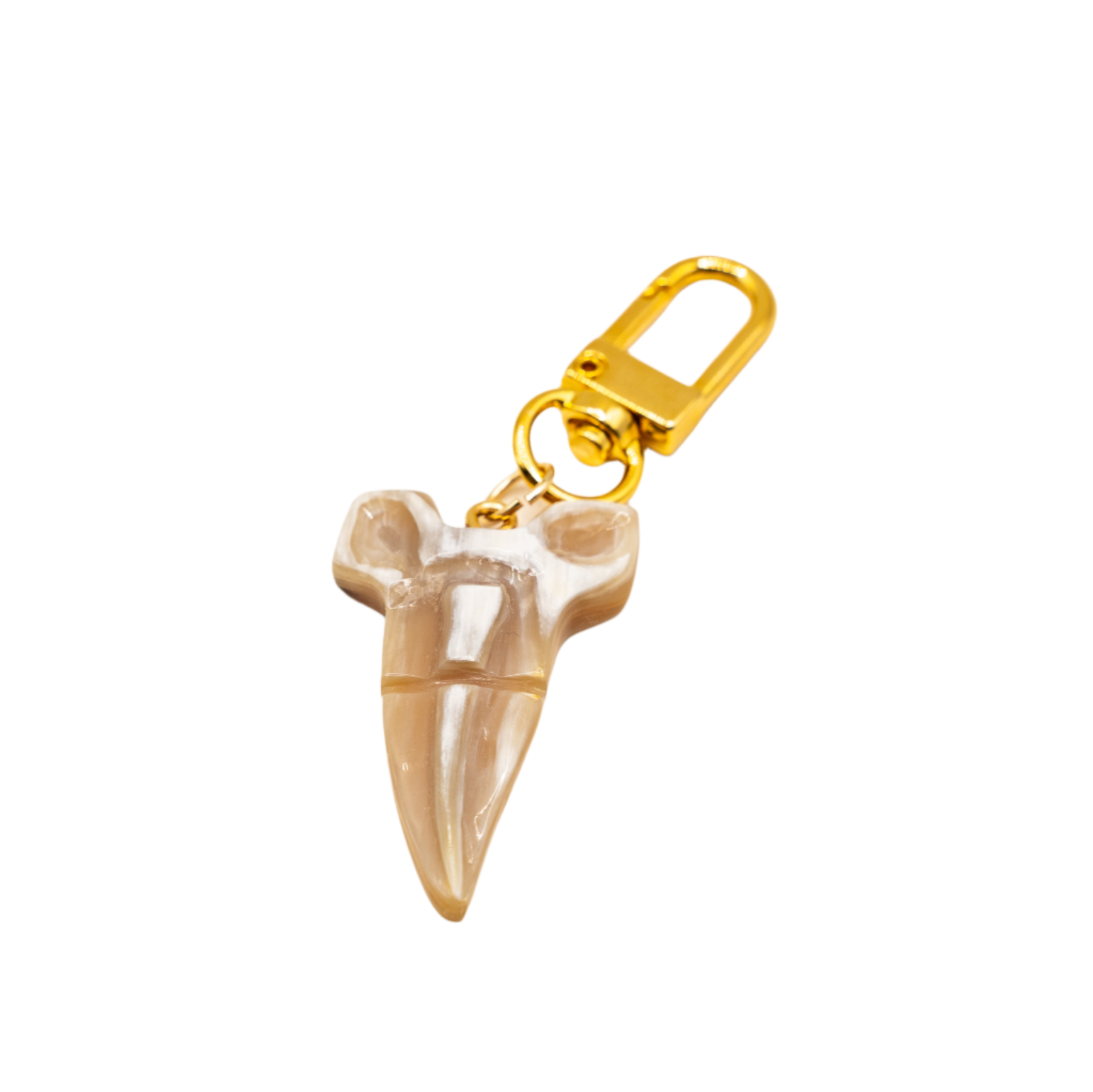 Lilly Sisto Exclusive Shark Tooth Charm by Akola