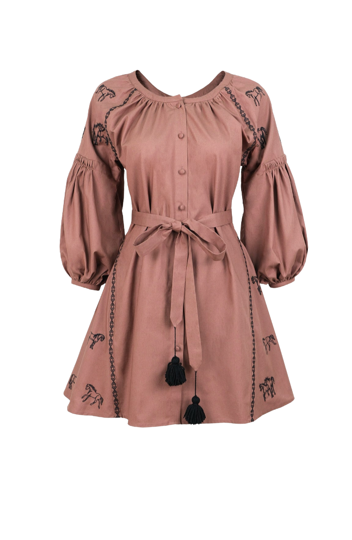 long-sleeve mini dress with black embroidered details, a button-up front, and a matching fabric tie belt with black tassels, shown on a plain white background.