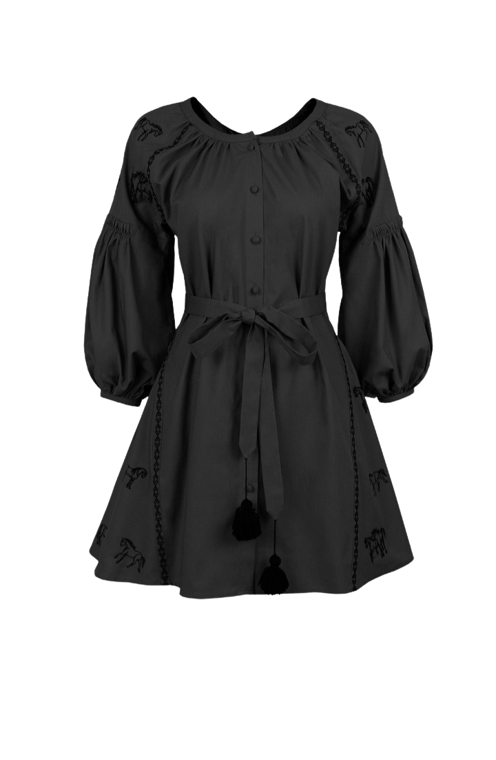 A black long-sleeve mini dress with puff sleeves, a button-up front, a matching waist tie, and embroidered details with black tassels, shown against a plain white background.