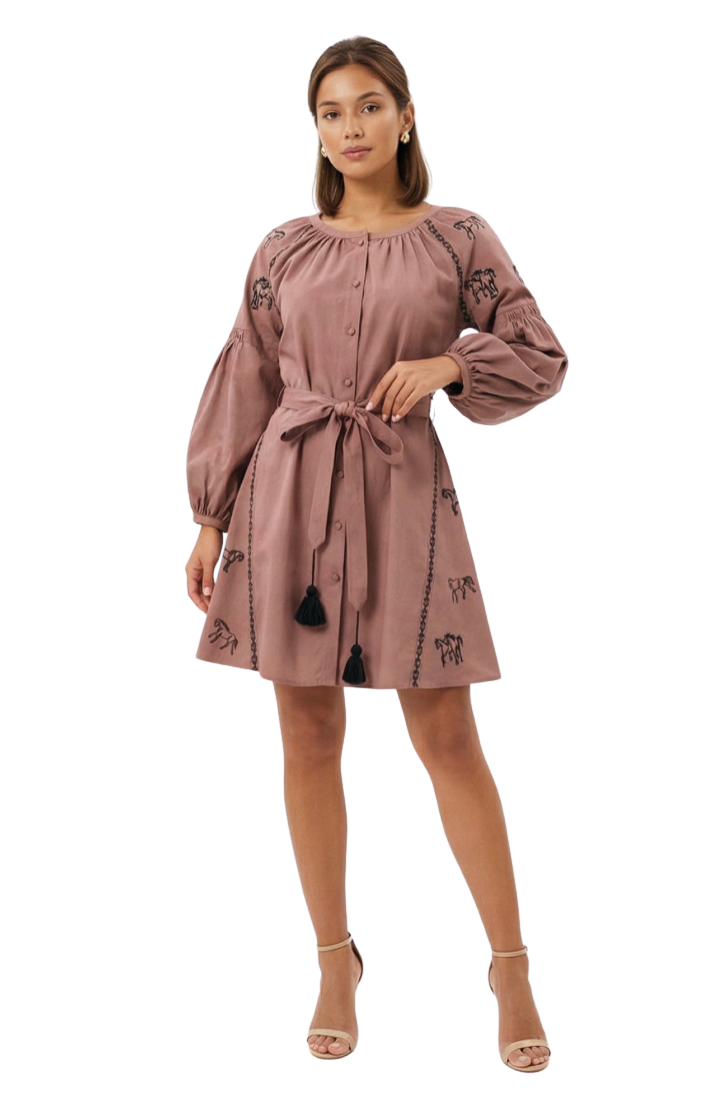A woman modeling a dusty rose pink mini dress with black embroidered details, a tie waist belt, and tassel accents, paired with nude high-heeled sandals against a plain white background.