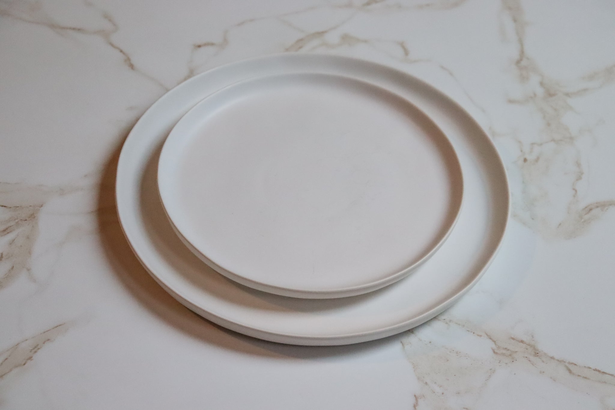 Matte White Dinner Plate and Salad Plate by Divine Ivy