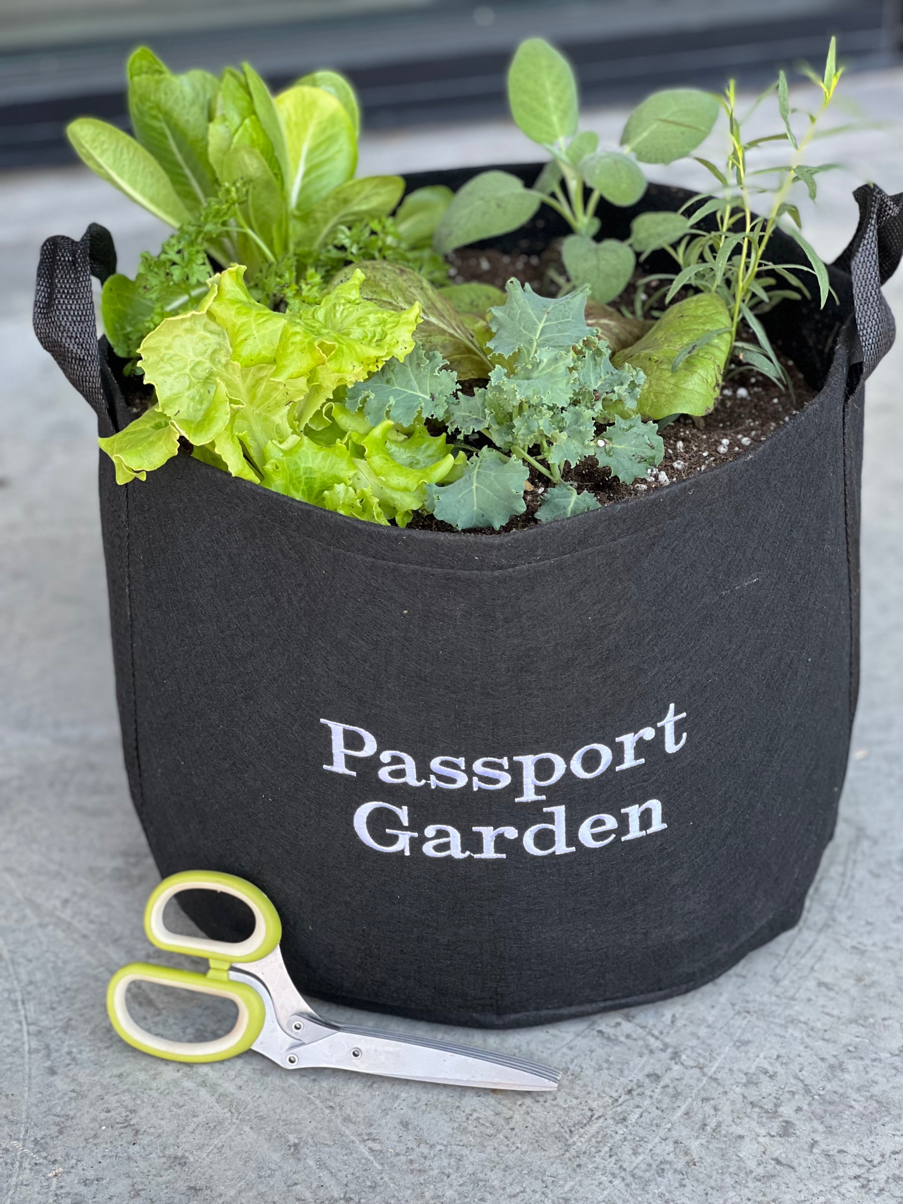 Outdoor Passport Giftable Garden with Pruning Shears Gift Set by Gardenuity