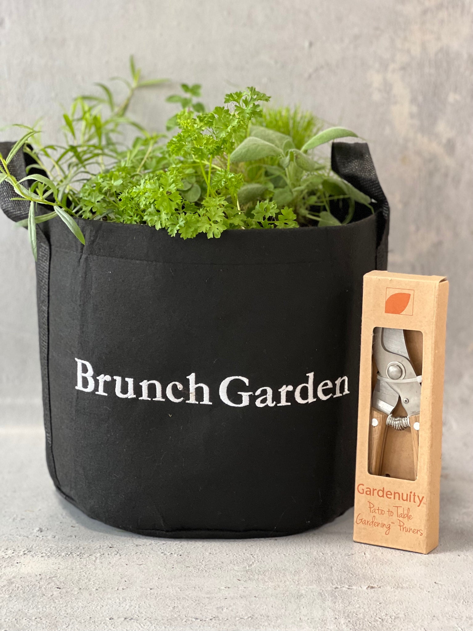 Outdoor Brunch Giftable Garden with Pruning Shears Gift Set by Gardenuity