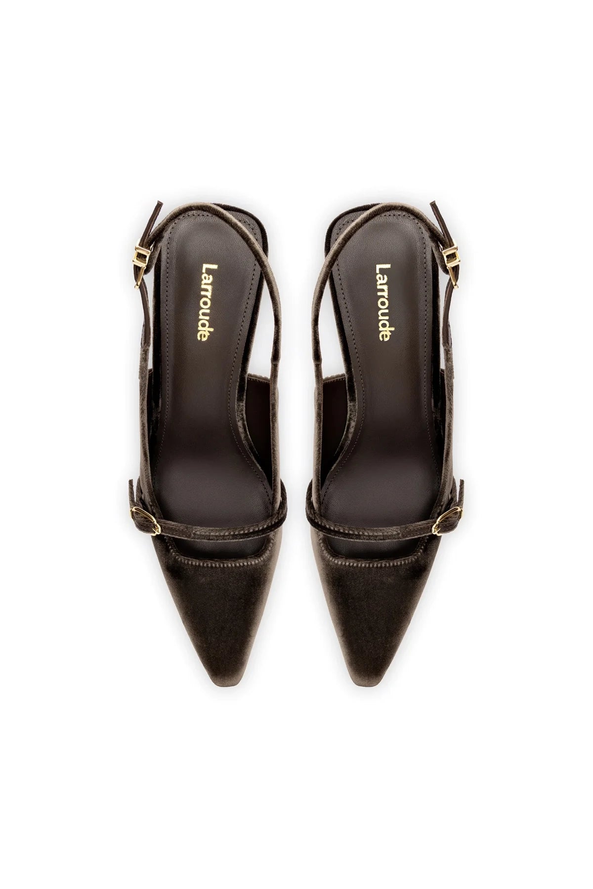 Ines Pump In Expresso Velvet by Larroudé by Larroudé