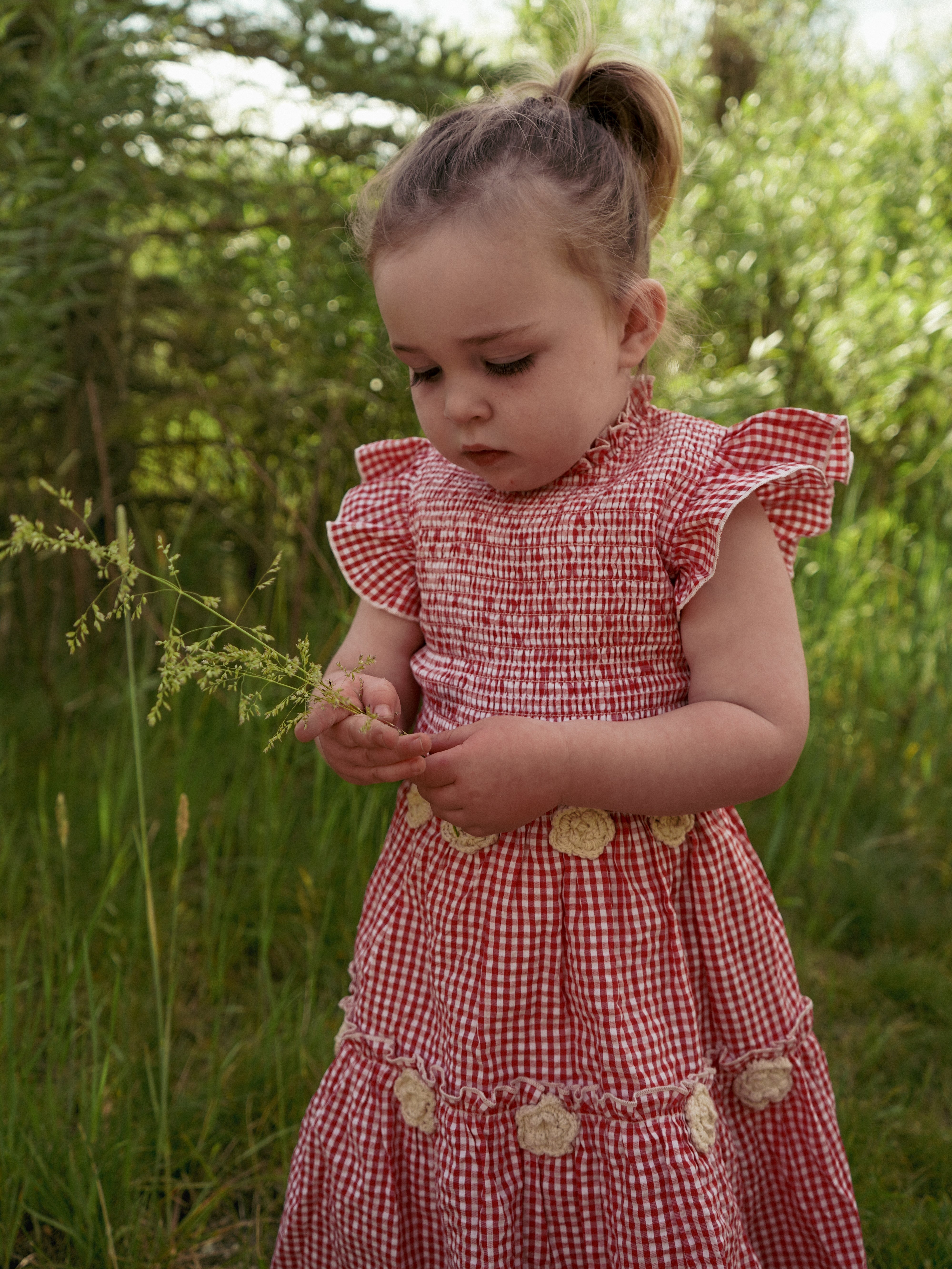 Little Lady Field Dress in Red Gingham by Eddy