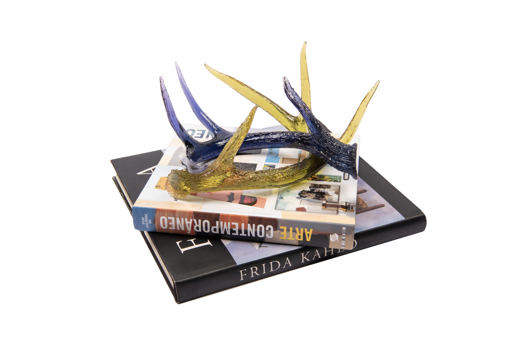 Agave Deer Antler - Thumbnail 3