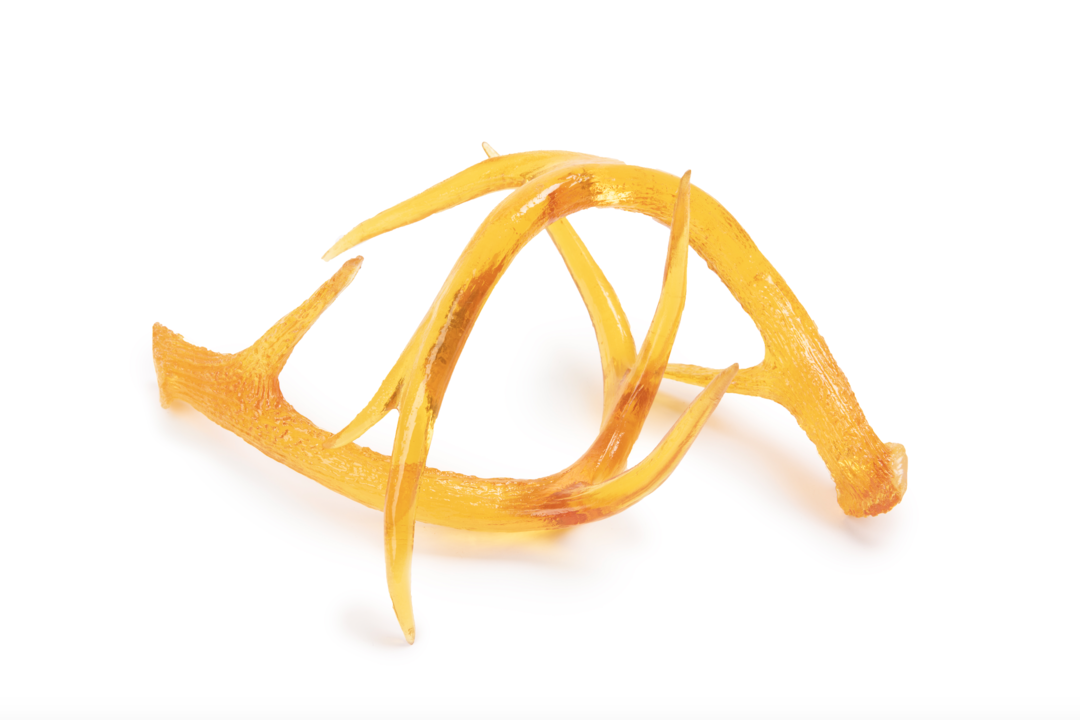 Deer Antler in Yellow by Agave