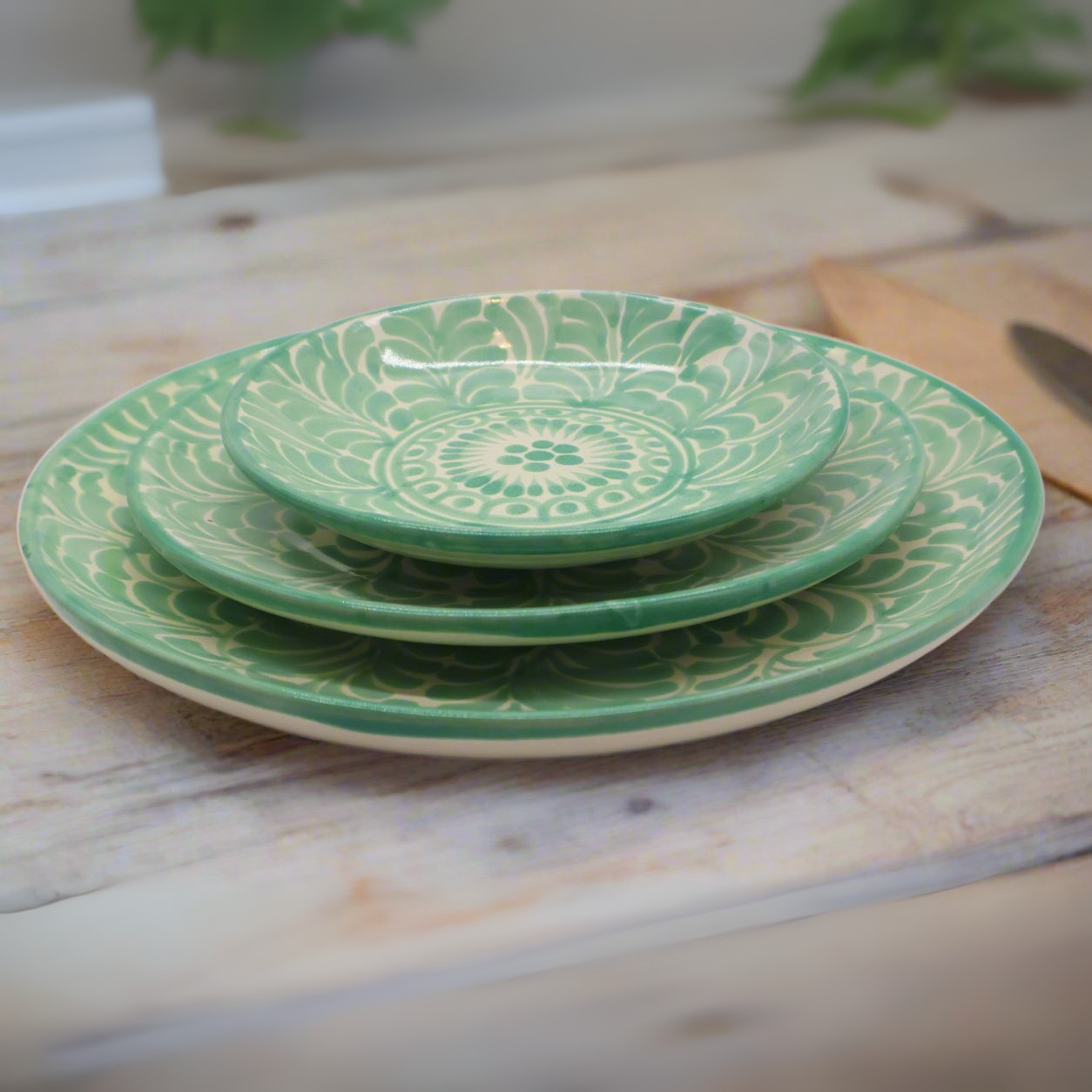 Mexico Collection by Agave