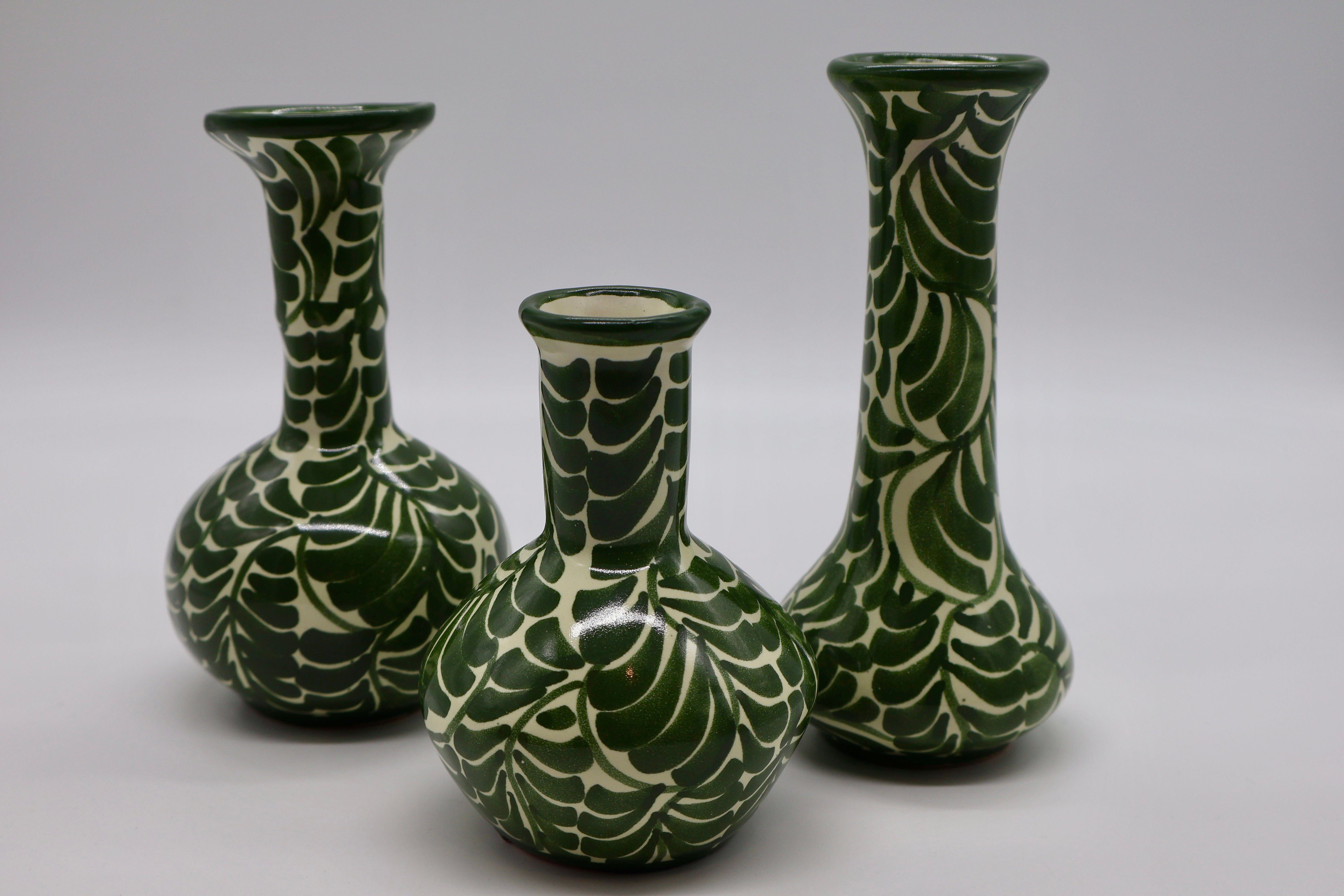 Mexico Collection by Agave