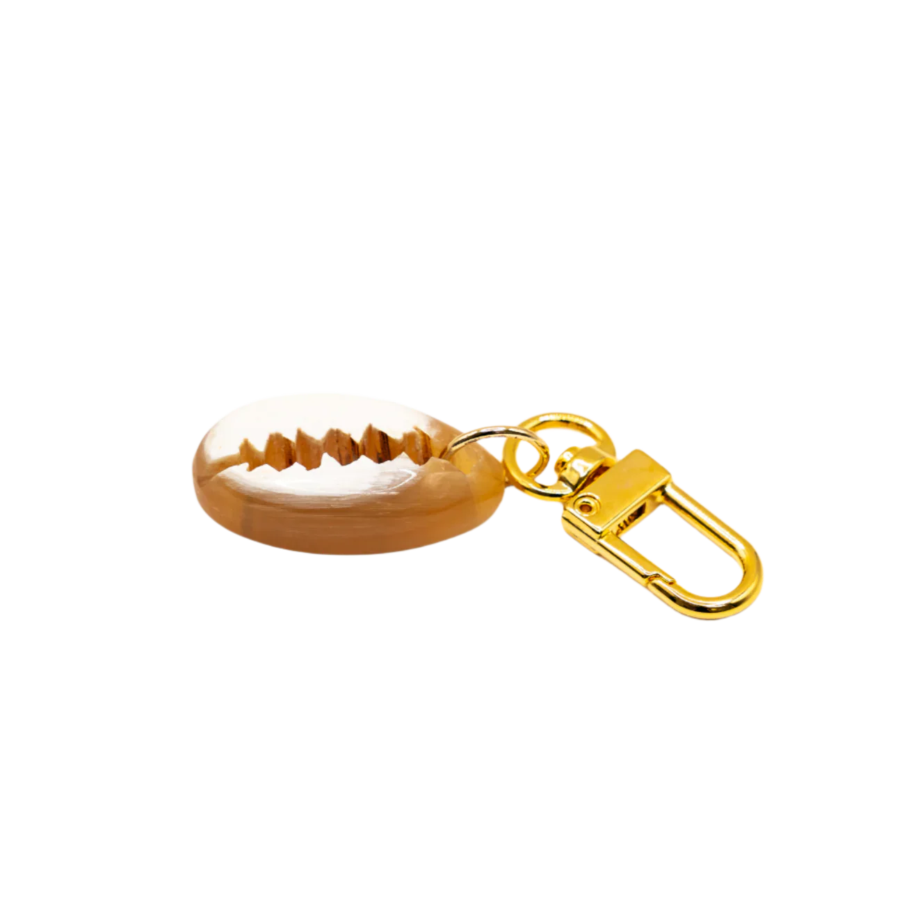 Cowrie Charm by Lilly Sisto x Akola