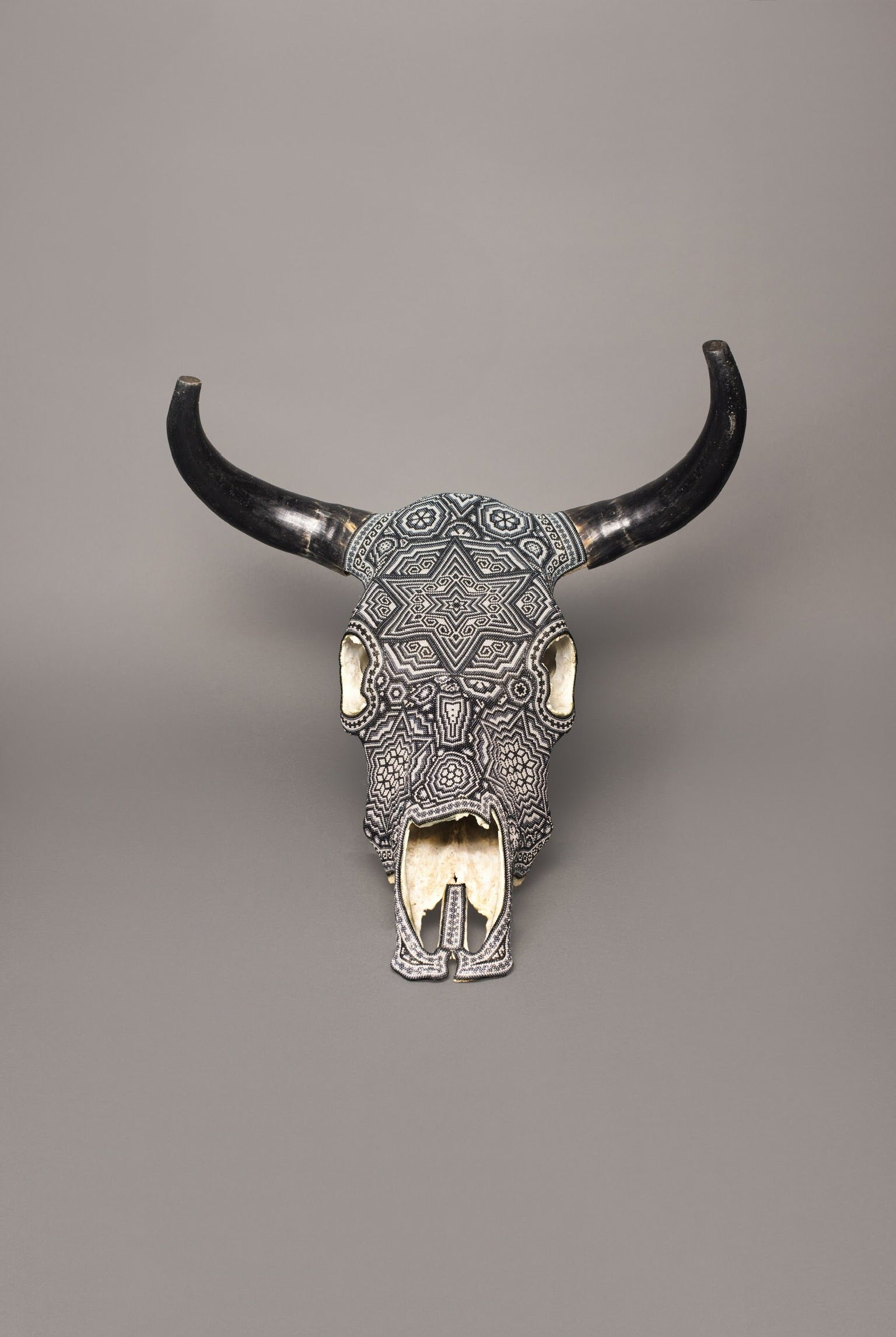 Huichol Cow Skull by Agave