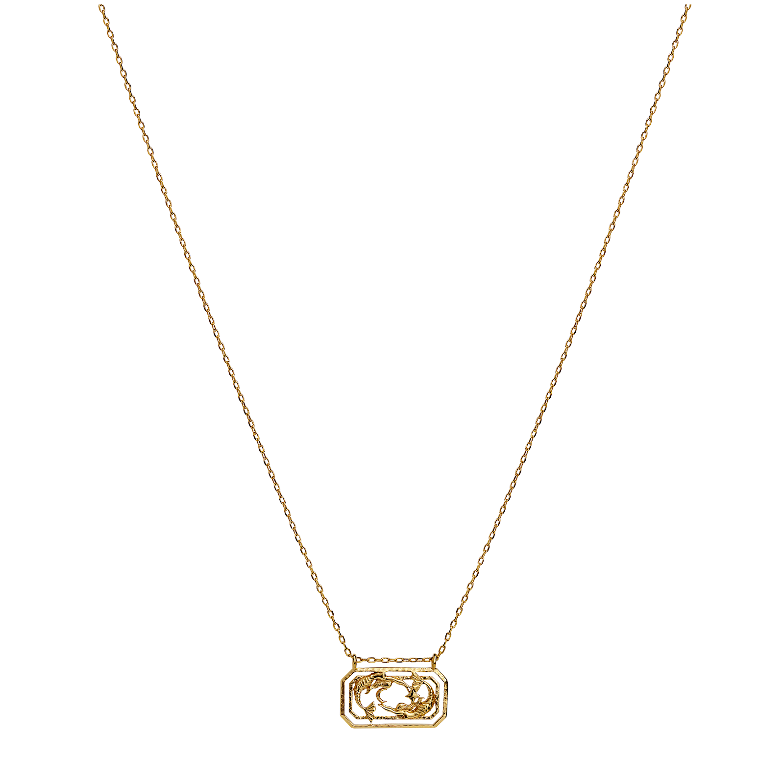 Zodiac Pisces Necklace by Maanesten