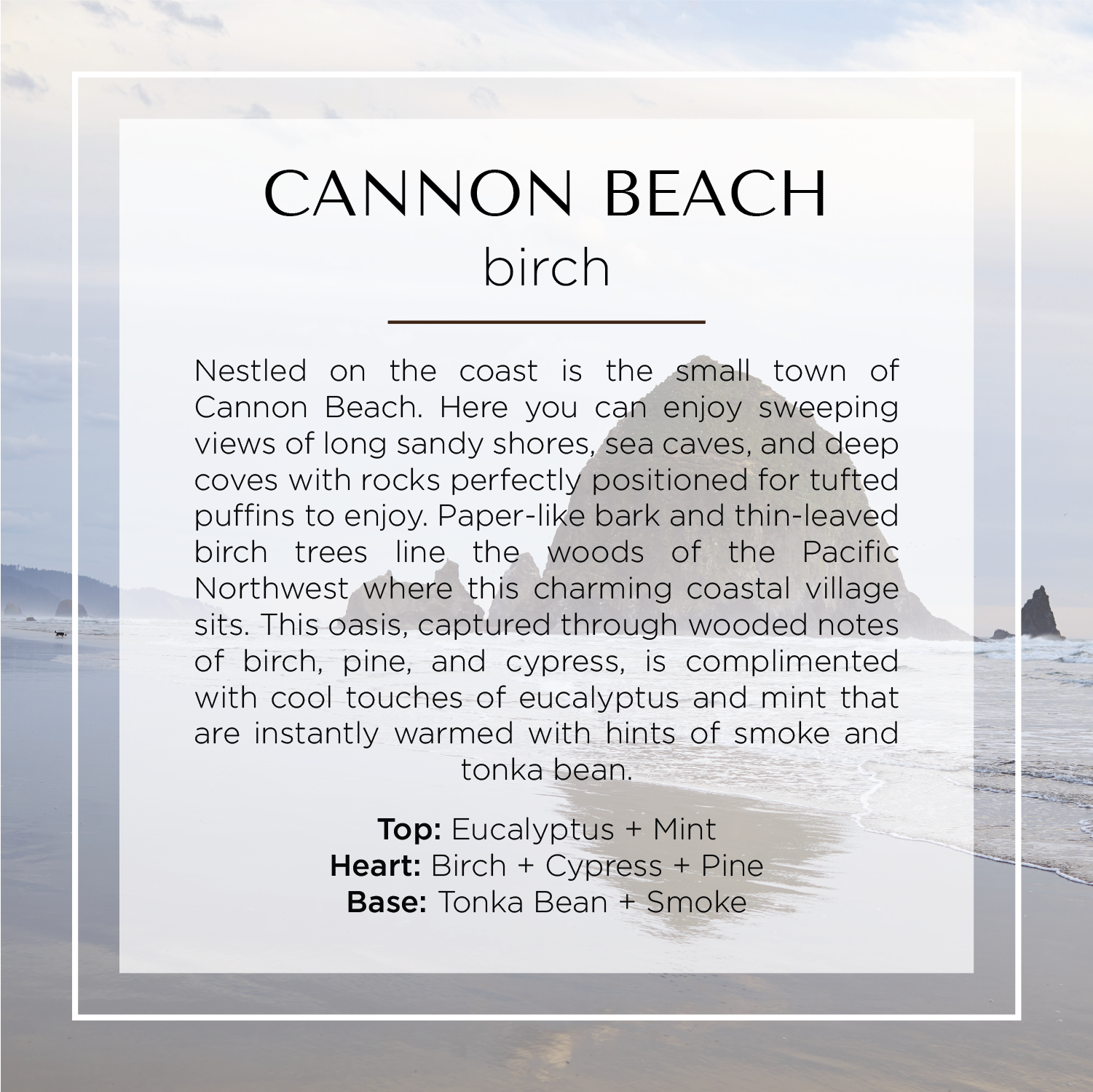 CANNON BEACH • BIRCH *Limited Edition* by Malibu Apothecary