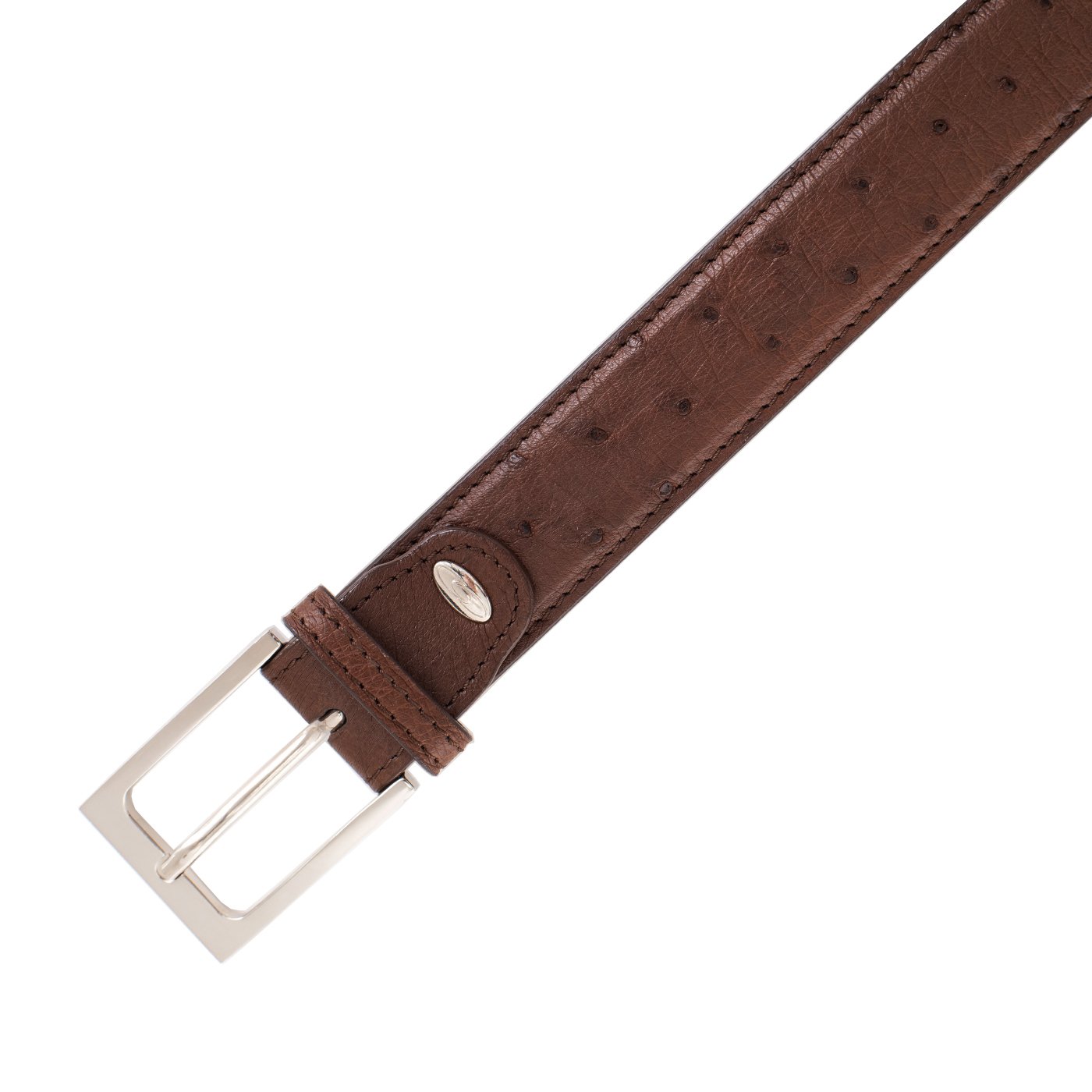 Ostrich Casual Belt by Cape Cobra